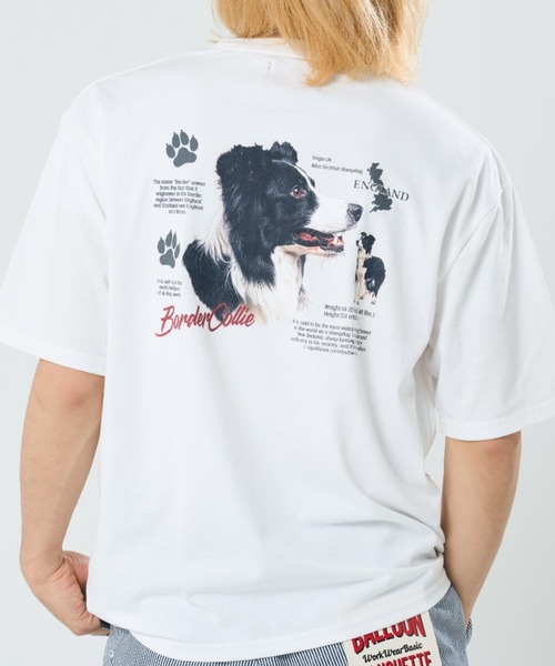 CORISCO(コリスコ)の「プロフィールアニマル柄TEE(M1)(Tシャツ/カットソー・メンズ・ブラック系1/グレー系1/キナリ/オートミール/グレー系2/ホワイト系2/ホワイト系1/ブラック系2・X-LARGE/LARGE/MEDIUM)」の3枚目の写真