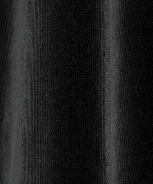 VANQUISH（ヴァンキッシュ）の「VANQUISH / ヴァンキッシュ プレミアム ベロア Vネック 長袖 Tシャツ（Tシャツ/カットソー・メンズ・グレー/ホワイト/ブラック・MEDIUM/LARGE/SMALL）」の11枚目の写真