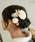 utatane�i�E�^�^�l�j�́u������ �h���C�t�����[ ���{���i�a�������j�v�b�z���C�g