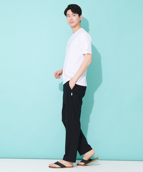 Arnold Palmer(アーノルドパーマー)の「グラフィック シェア Tシャツ(Tシャツ/カットソー・レディース・ネイビー/グリーン/ホワイト/ブラック・XS/S/M/L/LL)」の11枚目の写真