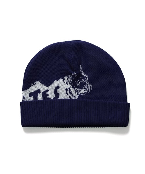 TES BUHI JQ KNIT CAP / ニットキャップ（ニットキャップ