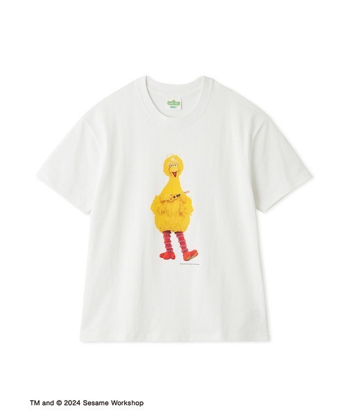 SESAME STREET(セサミストリート)の「【UNISEX】ストーリーTシャツ(Tシャツ/カットソー・レディース・レッド/イエロー/ブルー・LARGE/SMALL/MEDIUM)」の7枚目の写真