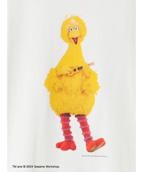 SESAME STREET(セサミストリート)の「【UNISEX】ストーリーTシャツ(Tシャツ/カットソー・レディース・レッド/イエロー/ブルー・LARGE/SMALL/MEDIUM)」の6枚目の写真