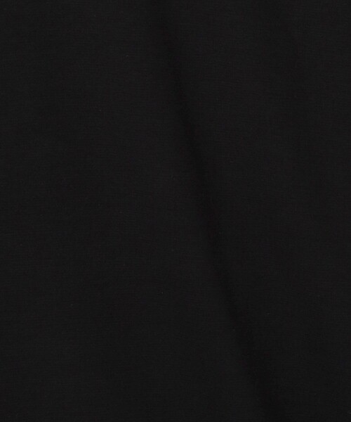 green label relaxing（グリーンレーベルリラクシング）の「L/A ポンチ モックネック カットソー（Tシャツ/カットソー・メンズ・ベージュ/ブラック/ホワイト・M/S/XL/L）」の12枚目の写真