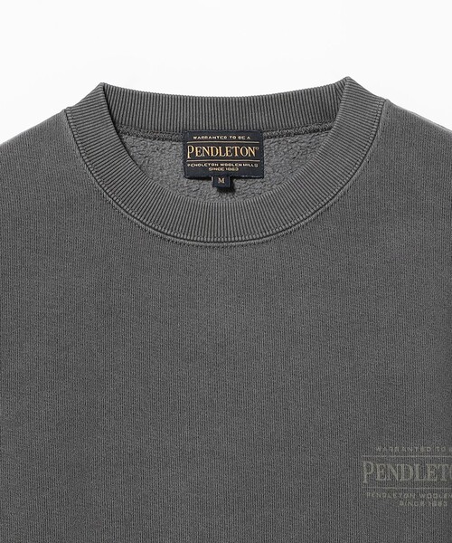 PENDLETON(ペンドルトン)の「PENDLET / 別注 ピグメント クルーネック スウェット(スウェット・メンズ・グレイッシュベージュ/グレイッシュブルー/チャコールグレー・SMALL/MEDIUM/LARGE/X-LARGE)」の6枚目の写真