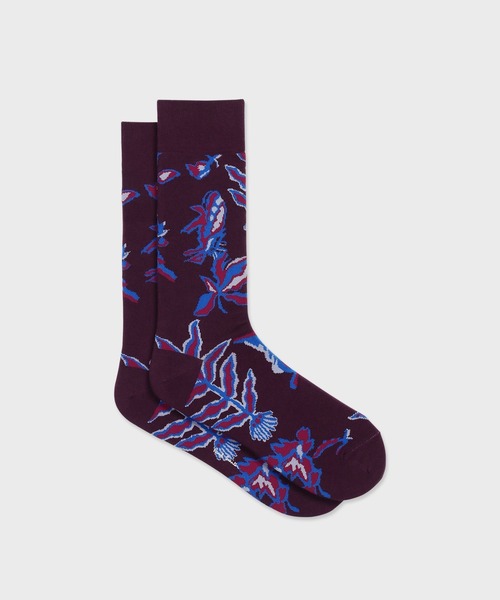 Paul Smith(ポールスミス)の「“Bohemia” ソックス【250616 CS】(ソックス/靴下・メンズ・ライトブルー/マルーン・25-27)」の2枚目の写真