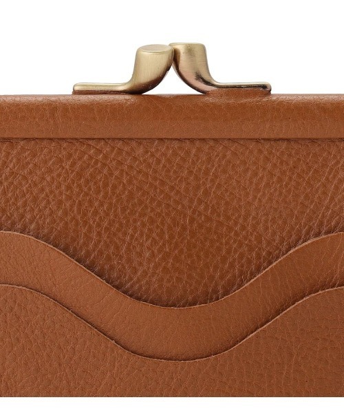 IL BISONTE /ORIGINAL LEATHER / カードケース / 2025 AUTUMN WINTER