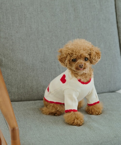 ROPE' PICNIC（ロペピクニック）の「【DOG】ランダムハートニット（ペットウェア・レディース・ブラック/レッド・M size/S/M/L）」の7枚目の写真