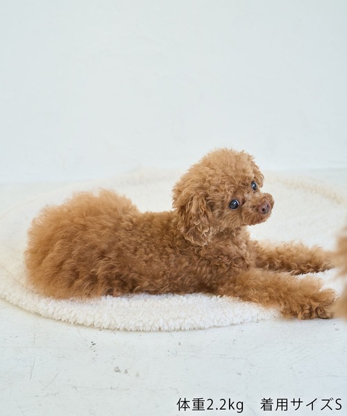 ROPE' PICNIC（ロペピクニック）の「【DOG】ランダムハートニット（ペットウェア・レディース・ブラック/レッド・M size/S/M/L）」の18枚目の写真