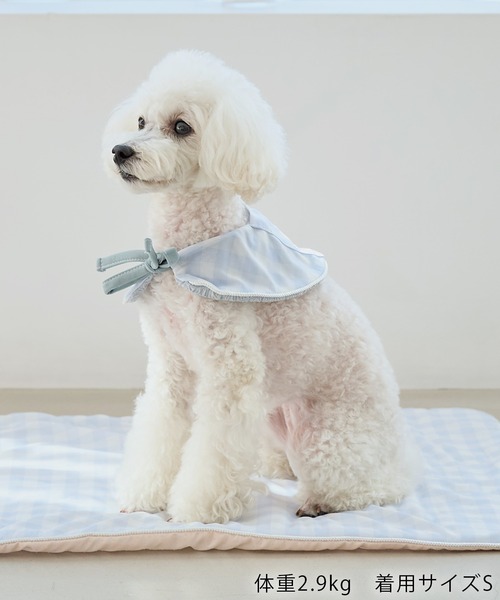 ROPE' PICNIC（ロペピクニック）の「【DOG】ランダムハートニット（ペットウェア・レディース・ブラック/レッド・M size/S/M/L）」の19枚目の写真
