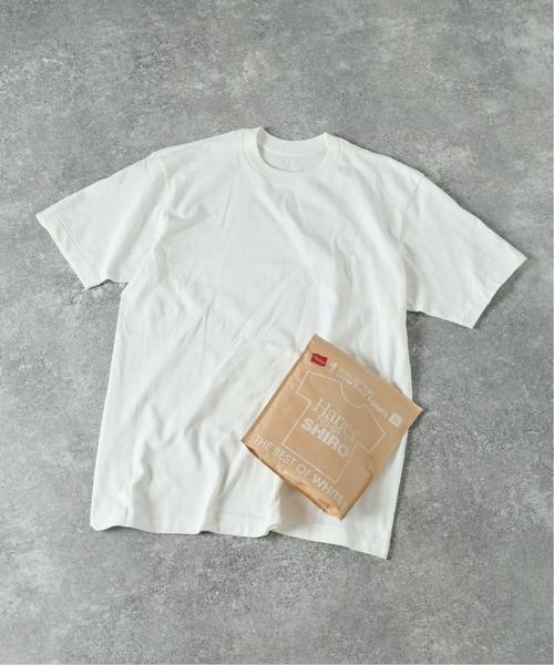 HANES(ヘインズ)の「Hanes / ヘインズ 1P T-SHIRTS SHIRO クルーネック Tシャツ(Tシャツ/カットソー・メンズ・ホワイト・MEDIUM/LARGE/X-LARGE)」の1枚目の写真