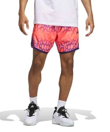 Kinetics（キネティクス）の「ADIDAS CRAZY LIGHT GRAPHIC SHORTS（アディダス クレイジーライト グラフィック ショーツ）（その他パンツ）」