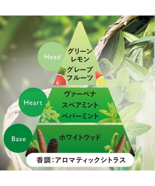 ミントヴァーベナ ソルベボディ&ハンド（ボディケアキット/ギフト