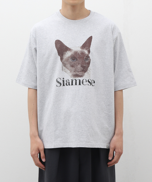 B.C STOCK（ベーセーストック）の「DOG＆CAT ASOORTED Tシャツ（Tシャツ/カットソー・メンズ・オフホワイト/ライトホワイト/ホワイト/ホワイト×ホワイト・LARGE/MEDIUM）」の3枚目の写真