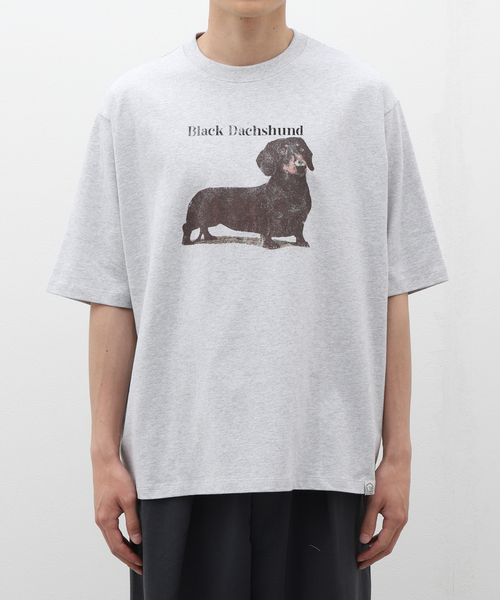 B.C STOCK（ベーセーストック）の「DOG＆CAT ASOORTED Tシャツ（Tシャツ/カットソー・メンズ・オフホワイト/ライトホワイト/ホワイト/ホワイト×ホワイト・LARGE/MEDIUM）」の7枚目の写真
