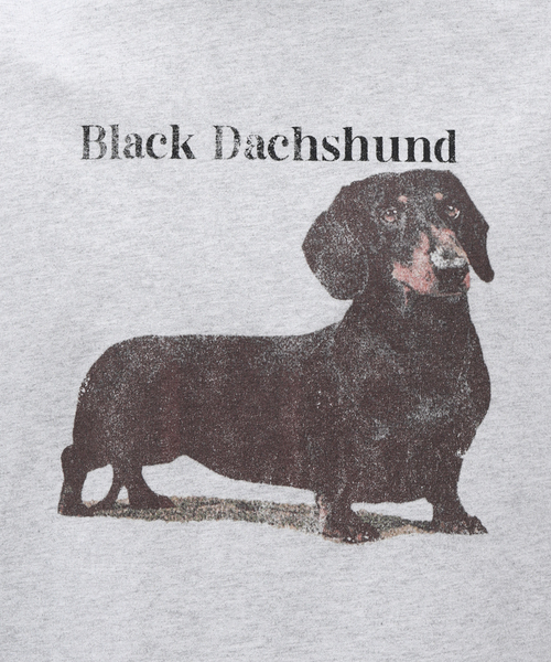 B.C STOCK（ベーセーストック）の「DOG＆CAT ASOORTED Tシャツ（Tシャツ/カットソー・メンズ・オフホワイト/ライトホワイト/ホワイト/ホワイト×ホワイト・LARGE/MEDIUM）」の14枚目の写真