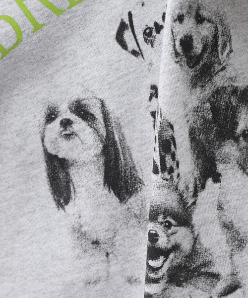 B.C STOCK（ベーセーストック）の「DOG＆CAT ASOORTED Tシャツ（Tシャツ/カットソー・メンズ・オフホワイト/ライトホワイト/ホワイト/ホワイト×ホワイト・LARGE/MEDIUM）」の20枚目の写真