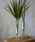 DULTONi_gj́uGLASS VASE ALTO H305/t[x[X Agit[x[XjvbNA