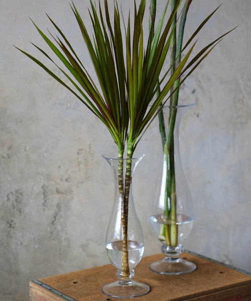 DULTON(ダルトン)の「GLASS VASE ALTO H305/フラワーベース アルト(フラワーベース・メンズ・クリア・SMALL)」の1枚目の写真