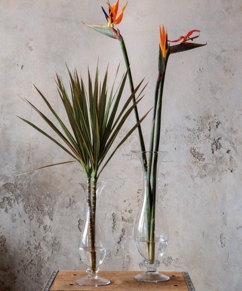 DULTON(ダルトン)の「GLASS VASE ALTO H305/フラワーベース アルト(フラワーベース・メンズ・クリア・SMALL)」の4枚目の写真