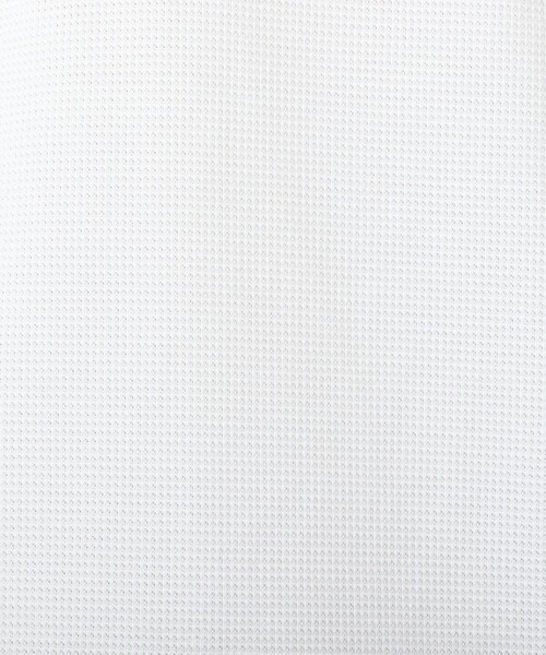 NOLLEY’S（ノーリーズ）の「《ビジカジ対応》【ALBINI】吸水速乾クジラBD Polo ビズポロ 25SS（ポロシャツ・メンズ・ホワイト/ネイビー/ブラック系その他/ブルー系その他・XL/L/M/S/XXL）」の17枚目の写真