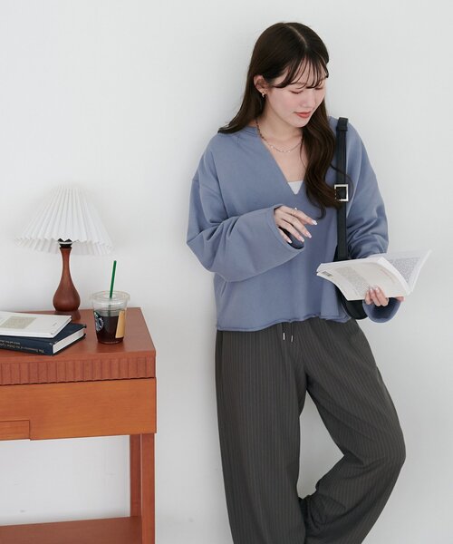 ひろ太　ディスコートブラウン Vネック スウェットまとめ Discoat（ディスコート） トレーナー スウェット 「新色追加!」裏毛深V