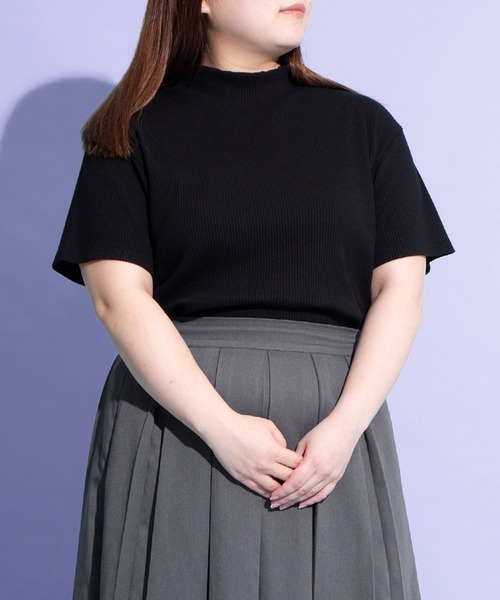 PUNYUS（プニュズ）の「ハイネックリブＴシャツ（Tシャツ/カットソー・レディース・ブラウン/ブラック/サックスブルー・1/2/3/4）」の2枚目の写真