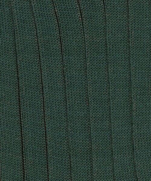 FALKE(ファルケ)の「<FALKE>SHADOW SOCKS/ソックス(ソックス/靴下・メンズ・ネイビー/ダークグリーン/グレー系/ブラウン系・41/42)」の19枚目の写真