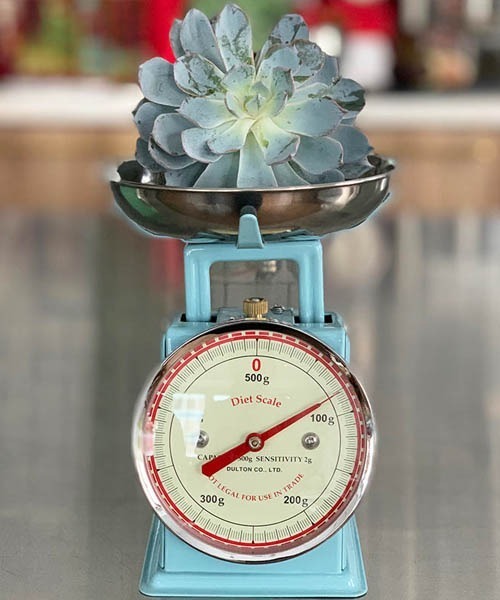 DULTON(ダルトン)の「DIET SCALE/キッチンスケール(キッチンツール・メンズ・ブラック/ダークグリーン/レッド/サックスブルー/イエロー/アイボリー/ミント/オリーブ/グレー/ブルーグリーン・FREE)」の7枚目の写真