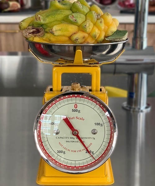 DULTON(ダルトン)の「DIET SCALE/キッチンスケール(キッチンツール・メンズ・ブラック/ダークグリーン/レッド/サックスブルー/イエロー/アイボリー/ミント/オリーブ/グレー/ブルーグリーン・FREE)」の9枚目の写真