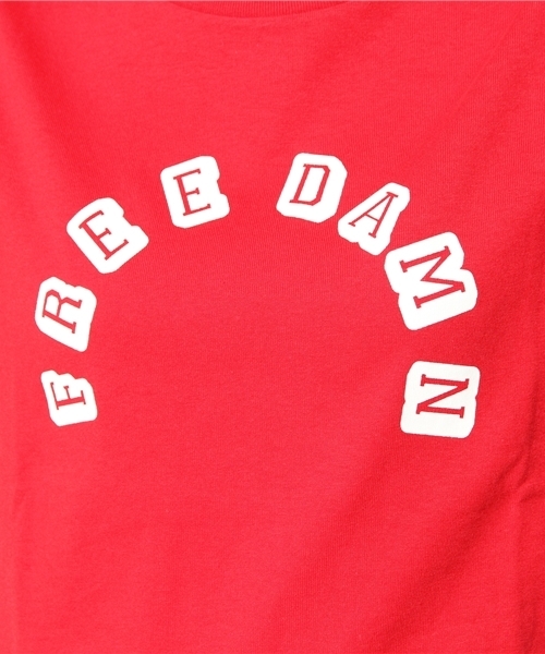 Kastane(カスタネ)の「【Kastane】FREEDAMNTシャツ(Tシャツ/カットソー・レディース・ホワイト/ブラック/その他15/グレー・FREE)」の10枚目の写真