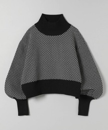 JEANASIS | Wフェイスフトリブショートハイネック/958384(ニット/セーター)