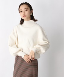 JEANASIS | Wフェイスフトリブショートハイネック/958384(ニット/セーター)