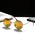 FUNALIVEit@ACuj́uBF2 select UVJbg J[YTOX jZbNXiTOXjvbH