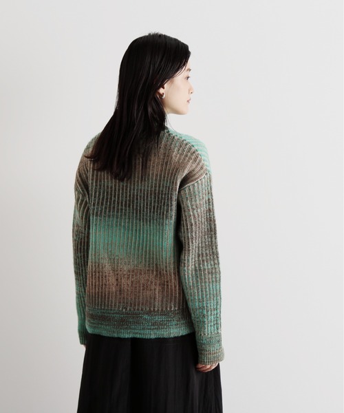 N.(N. Natural Beauty Basic)(エヌエヌナチュラルビューティーベーシック)の「◆グラデーションボーダーハイネックニット(ニット/セーター・レディース・グリーン系その他/ブルー系その他・MEDIUM)」の8枚目の写真