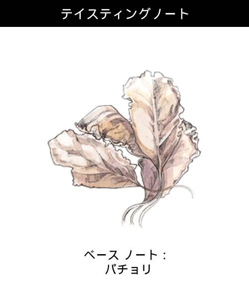 JO MALONE LONDON（ジョーマローンロンドン ）の「【数量限定】ジョー マローン ロンドン イングリッシュ ペアー & フリージア トラベル コレクション（ボディケアキット/ギフトセット・レディース・その他・FREE）」の5枚目の写真