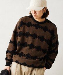 JOURNAL STANDARD relume | CALIFORNIA アモルファス ジャガードクルーネックニット(ニット/セーター)