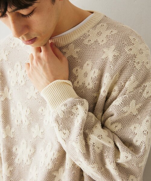 JOURNAL STANDARD relume(ジャーナルスタンダード レリューム)の「CALIFORNIA アモルファス ジャガードクルーネックニット(ニット/セーター・メンズ・ブラック/アイボリー/グリーン/ネイビー・MEDIUM/LARGE)」の19枚目の写真