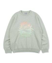 youthbath（ユースバース）の「DINO GRAPHIC KNIT_LIGHT GREY（ニット/セーター）」