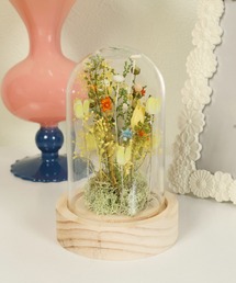 studio CLIP(�X�^�f�B�I�N���b�v)��LED�t�����[�A�����W�h�[��(�Ɩ�)