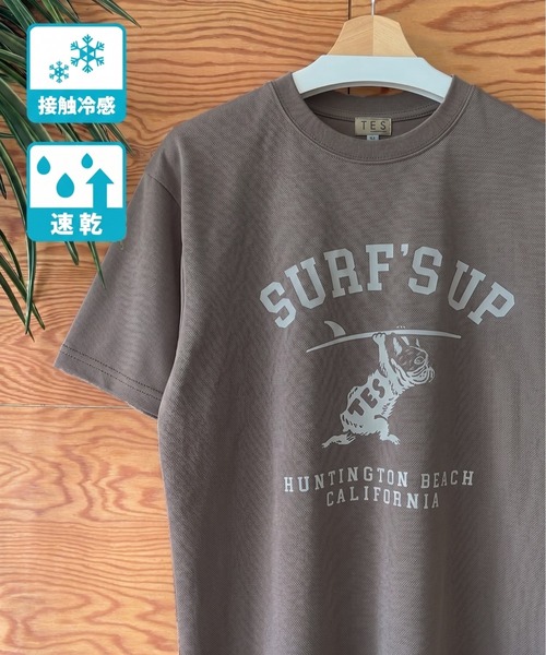 The Endless Summer(エンドレスサマー)の「【WEB / FLAG SHOP限定】TES COOLDRY COLLEGE T-SHIRT / 半袖Tシャツ(Tシャツ/カットソー・メンズ・ホワイト/ブラック/アイボリー/チャコール・MEDIUM/LARGE/X-LARGE/XX-LARGE)」の4枚目の写真