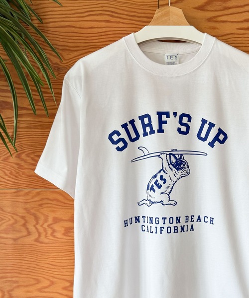 The Endless Summer(エンドレスサマー)の「【WEB / FLAG SHOP限定】TES COOLDRY COLLEGE T-SHIRT / 半袖Tシャツ(Tシャツ/カットソー・メンズ・ホワイト/ブラック/アイボリー/チャコール・MEDIUM/LARGE/X-LARGE/XX-LARGE)」の14枚目の写真
