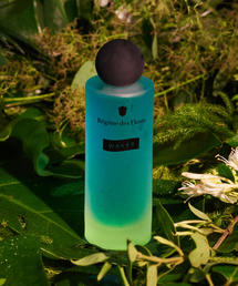 希少入手困難レジームデフルールウェーブスオードパルファム100ml 36462463_B_07_215.jpg