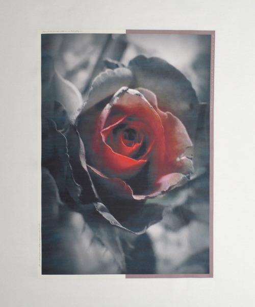 Confirm（コンファーム）の「Confirm / コンファーム 薔薇バックプリントビッグスウェット（スウェット・メンズ・ブラック系その他/ホワイト系その他/ブラック/ホワイト・L/M）」の20枚目の写真