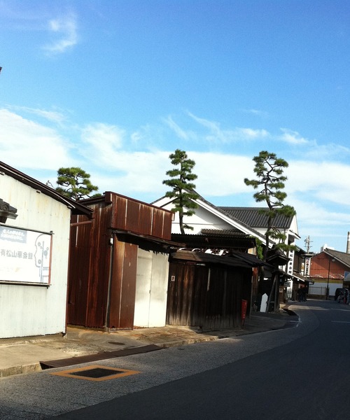 有松絞り浴衣3点セット 紫に四草