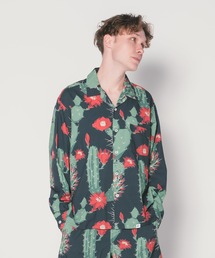 BEDWIN & THE HEARTBREAKERS（ベドウィン アンド ザ ハート