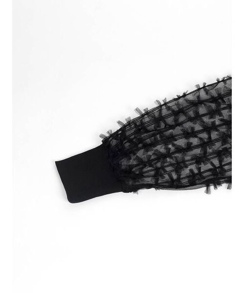 :ETHROF(イーサオブ)の「TULLE RIBBON SHEER TOPS(その他トップス・レディース・オフホワイト/ブラック・FREE)」の5枚目の写真
