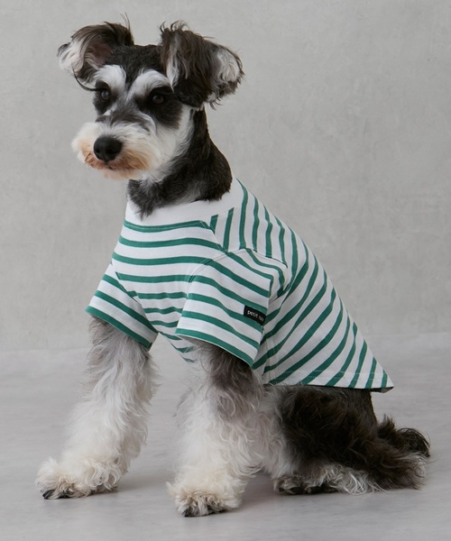 petit main（プティマイン）の「【GOODPRICE冷感】ボーダー半袖Tシャツ（Tシャツ/カットソー・キッズ・グレー/パープル/ピンク/グリーン/ライトブルー/ブラウン系その他・130cm/90cm/100cm/110cm/80ｃｍ/120cm）」の16枚目の写真