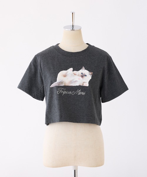 one after another NICE CLAUP(ワンアフターアナザーナイスクラップ)の「ネコ/リボンアソートショートTシャツ(Tシャツ/カットソー・レディース・ブラック/オフホワイト/チャコールグレー/ホワイト・FREE)」の5枚目の写真