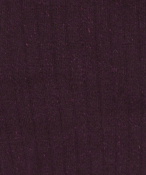 green label relaxing（グリーンレーベルリラクシング）の「＜MAEE＞コンプレッション リブ ソックス（ソックス/靴下・メンズ・オフホワイト/ブラック/ダークグレー・FREE）」の5枚目の写真